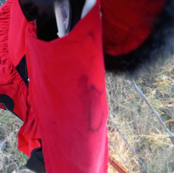 Size 4 Girls Rare "Queen of Hearts" Costume/DressUp Dress - Picture 5 of 10